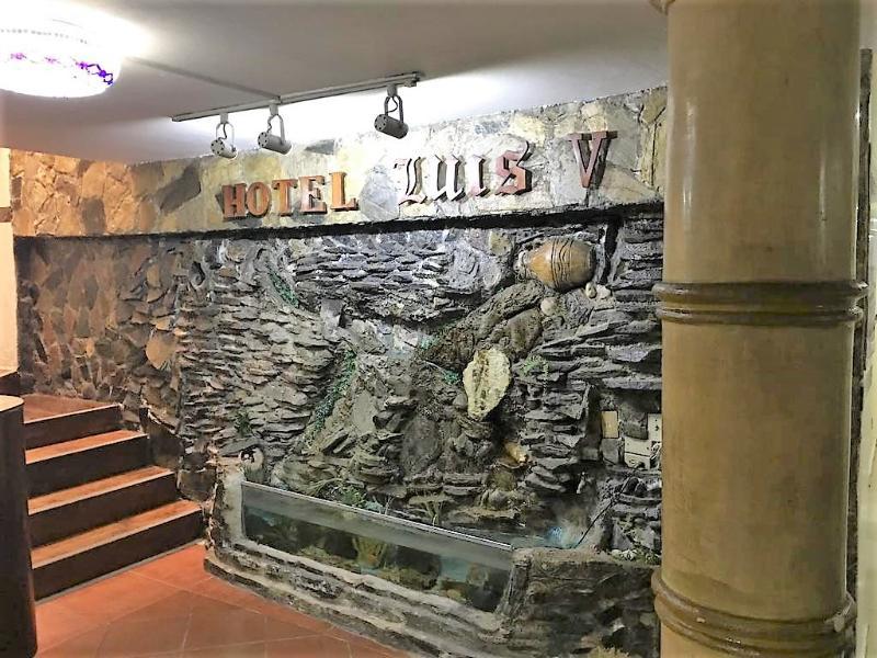Hotel Luis V Santo Domingo Eksteriør billede